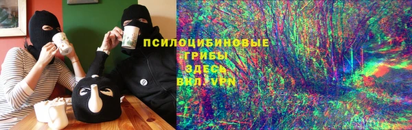 сатива Нефтекумск