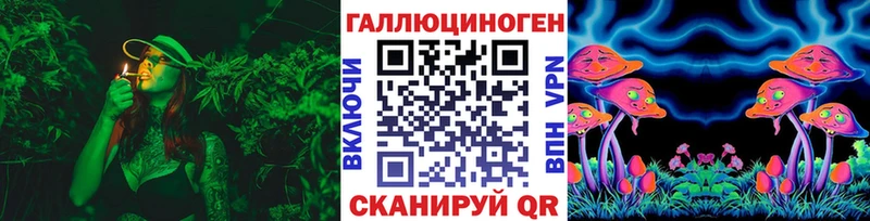 Псилоцибиновые грибы Cubensis  что такое   Пермь 